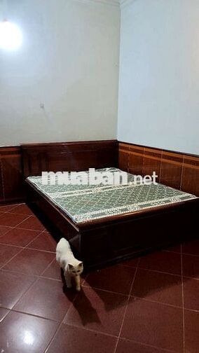 cho thuê phòng trọ ngõ 234 Hoàng quốc Việt 