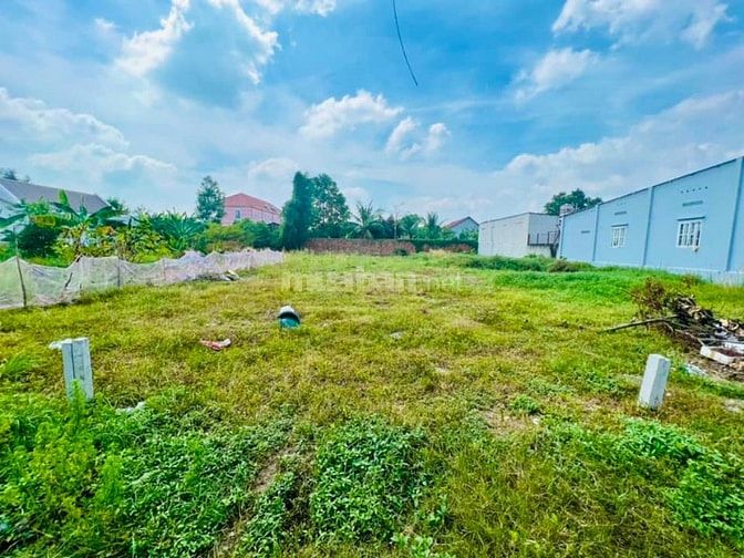 CẦN BÁN GẤP LÔ ĐẤT NGUYÊN KIM CƯƠNG 225M2 CHỈ ̃̃750 TRIỆU , SHR