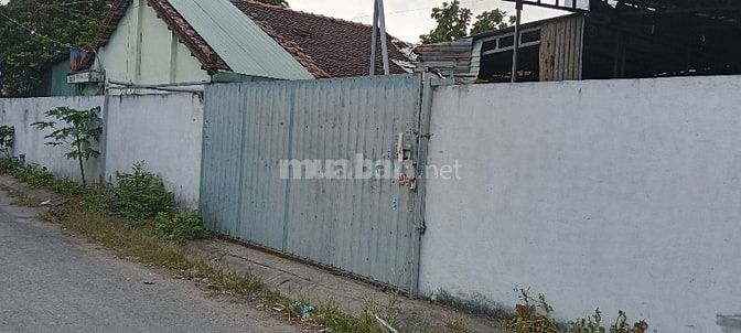 BÁN NHÀ XƯỞNG MT ĐƯỜNG NHỰA DT 22M x 20M SHR