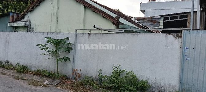 BÁN NHÀ XƯỞNG MT ĐƯỜNG NHỰA DT 22M x 20M SHR