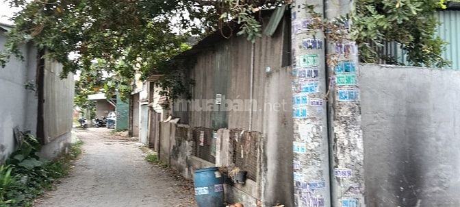 BÁN NHÀ XƯỞNG MT ĐƯỜNG NHỰA DT 22M x 20M SHR