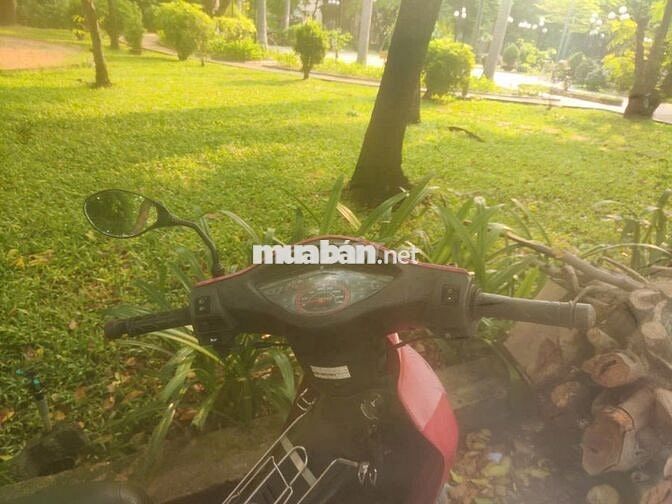 Wave Xương Cá chưa rớt đầu nồi, sơn rin, máy êm