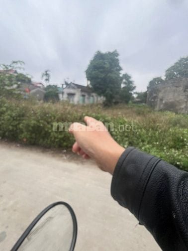 "🌹 CHÍNH CHỦ GỬI BÁN LÔ ĐẤT ĐẸP – MỸ HÀO, HƯNG YÊN 🌹  📍 Vị trí: TDP