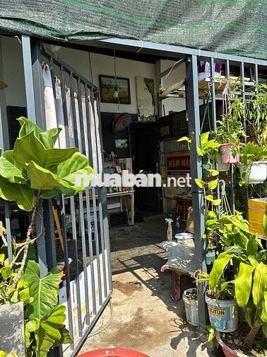 CHO THUÊ NHÀ NGUYÊN CĂN – KHÔNG GIAN MÁT MẺ, YÊN TĨNH GẦN SÔNG 🌿