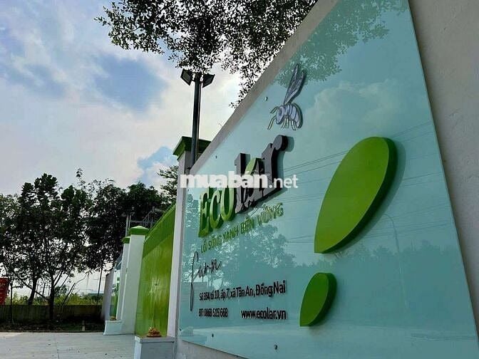 Tuyển kỹ thuật chăn nuôi gà
