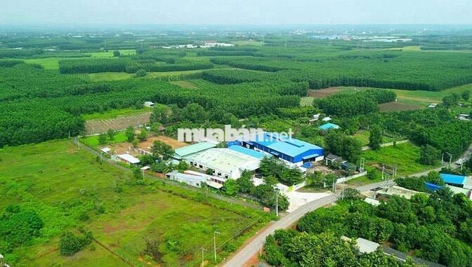 Tuyển kỹ thuật chăn nuôi gà