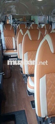 Ford Transit 2023 12000 km Vàng