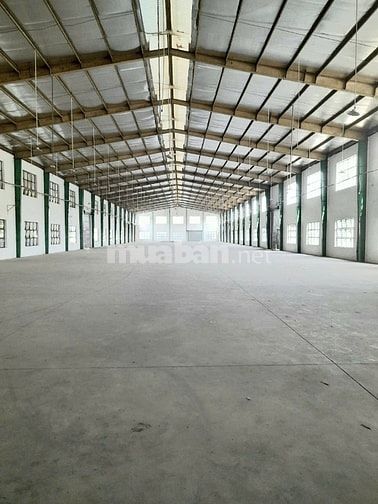 Kho xưởng cho thuê Củ Chi ,DT: 6,000m2 , PCCC tự động 