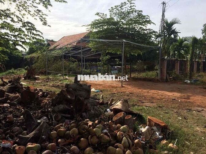 Đất MT Hồ Văn Mên, An Sơn kinh doanh buôn bán sầm uất, 200m2, 800trieu