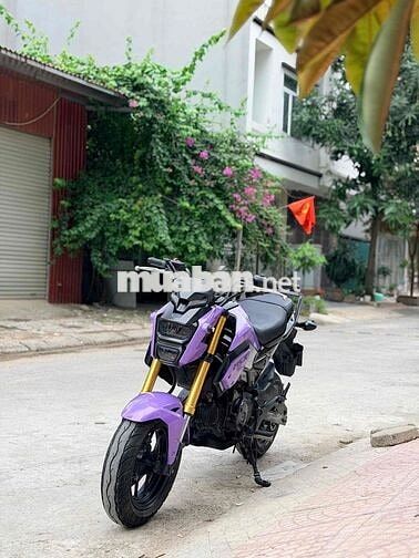 Honda MSX 125 2019 Tím