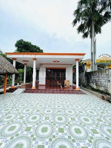 ​Nhà Mặt Tiền TL15: 1341m2 Đường Container Thông - Sẵn Nhà Cấp 4,