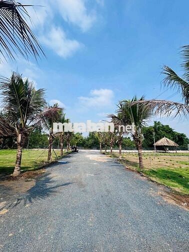 CẦN BÁN ĐẤT VIEW SÔNG TÂN TRIỀU TP.ĐỒNG NAI