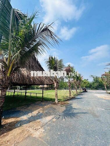 CẦN BÁN ĐẤT VIEW SÔNG TÂN TRIỀU TP.ĐỒNG NAI