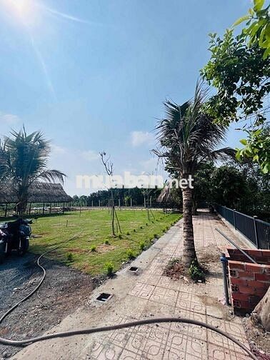 CẦN BÁN ĐẤT VIEW SÔNG TÂN TRIỀU TP.ĐỒNG NAI