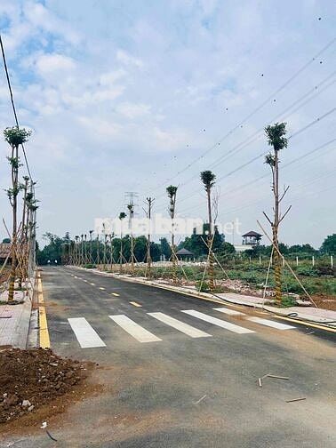 CẦN BÁN ĐẤT VIEW SÔNG TÂN TRIỀU TP.ĐỒNG NAI