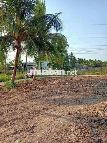 ĐẤT NỀN THỔ CƯ TÂN PHÚ ĐÔNG CHỈ 155TR