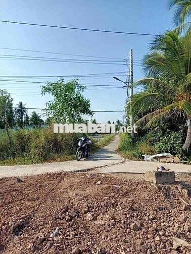 ĐẤT NỀN THỔ CƯ TÂN PHÚ ĐÔNG CHỈ 155TR