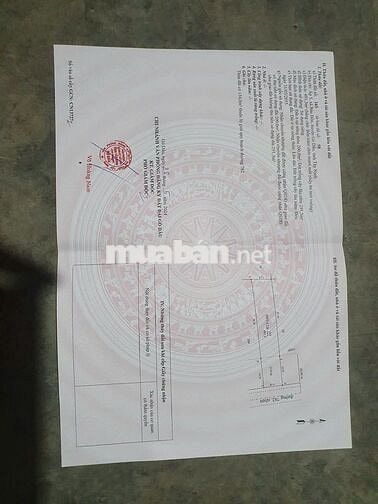 BÁN NHÀ MT DT782 BÀU ĐỒN GÒ DẦU TÂY NINH