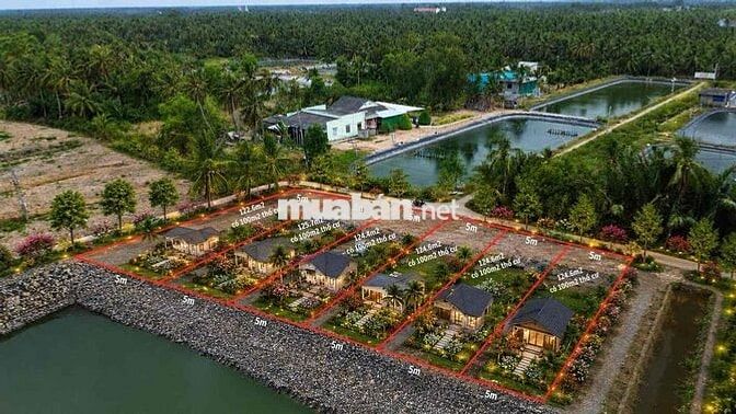 ĐẤT NỀN THỔ CƯ TÂN PHÚ ĐÔNG CHỈ 155TR