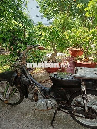 Xe máy Citi plus chở hàng lửa 6 cục
