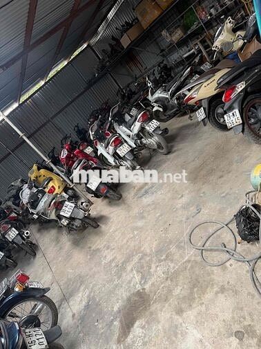 Xe máy cũ Đa dạng