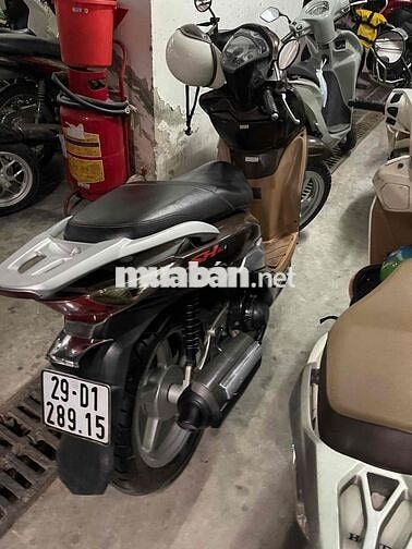 SYM lên phom SH màu Nâu cực chất