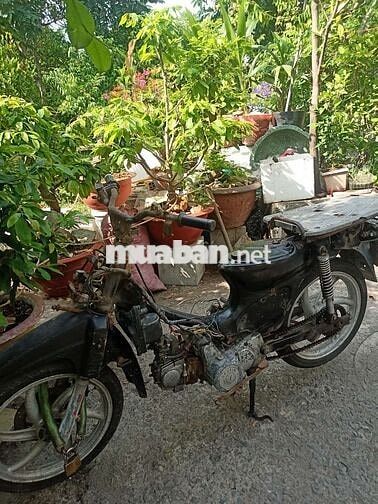 Xe máy Citi plus chở hàng lửa 6 cục