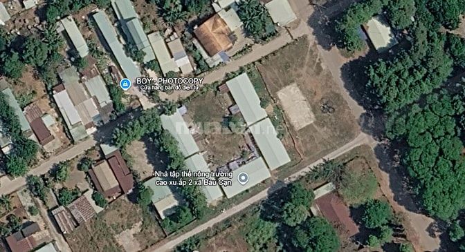 CHÍNH CHỦ BÁN ĐẤT BÀU CẠN LONG THÀNH – 9,4x55M – CÓ 100M THỔ CƯ – ĐƯỜN