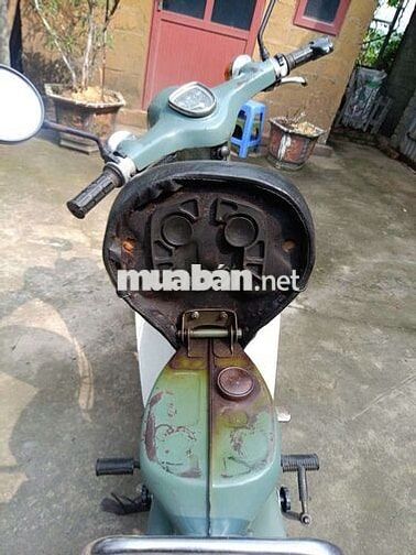 Honda Cub 80/50 Xanh Trắng