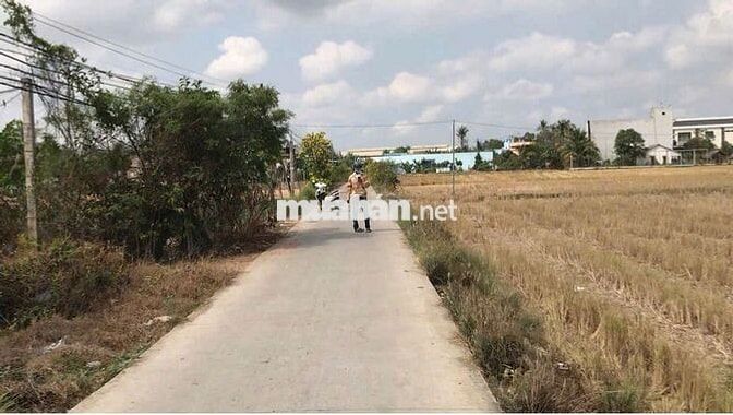 Bán Đất Xã Phước Lợi,Bến Lức,Long An 700m2(300 thổ cư,400 vườn) TLượng