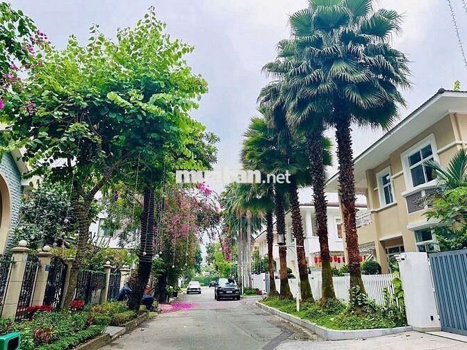 CHO THUÊ BIỆT THỰ ĐƠN LẬP MỸ PHÚ 1 - PHÚ MỸ HƯNG QUẬN 7