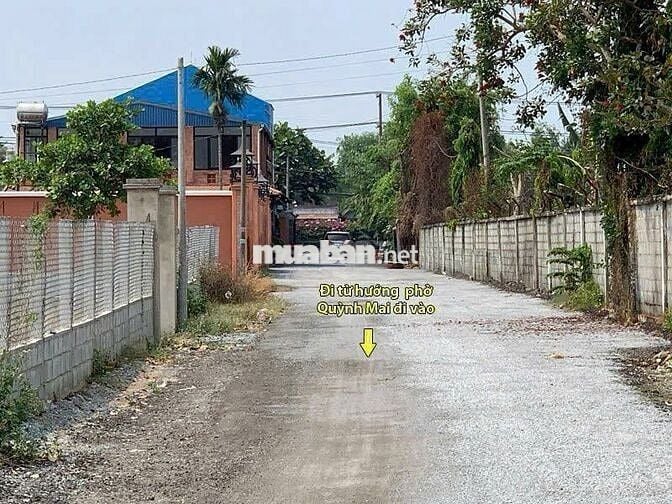 Bác 8 chia tài sản cho con nhờ bán lô đất 331m2 - sổ hồng riêng - 760