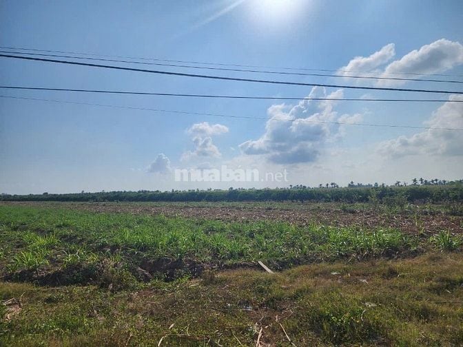 SANG LẠI 20.000M2 ĐẤT THỔ CƯ SHR GẦN CHỢ ỦY BAN, TRƯỜNG HỌC, MT SÔNG