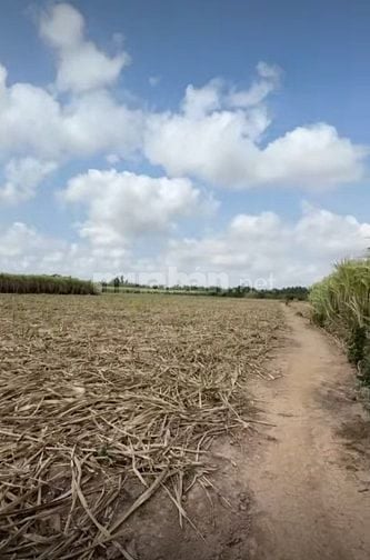 SANG LẠI 20.000M2 ĐẤT THỔ CƯ SHR GẦN CHỢ ỦY BAN, TRƯỜNG HỌC, MT SÔNG