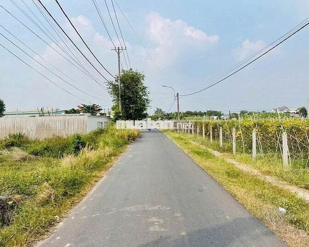 CHỦ GỬI LÔ ĐẤT 409M2 TRẦN QUANG ĐẠO, TÂN THÔNG HỘI, NGANG 10M, CÓ VƯỜN