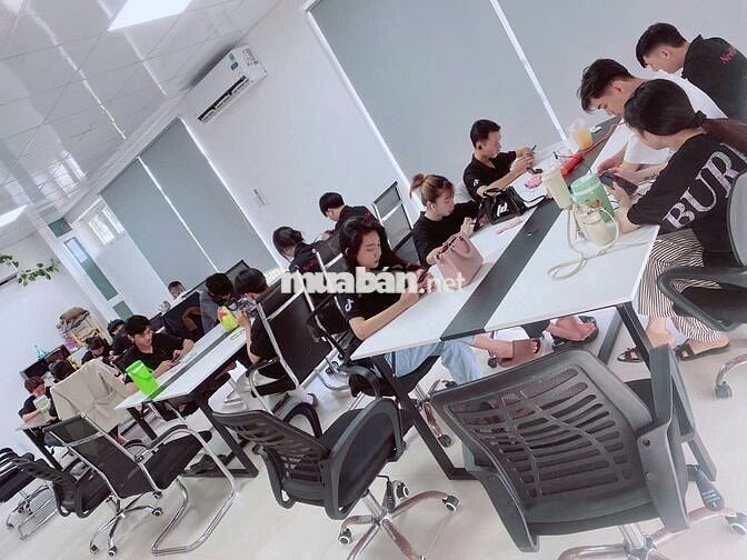 Nhân Viên Văn Phòng - Quản lý Idol LiveTiktok