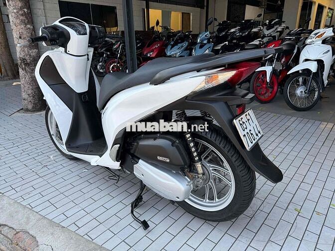 Honda SH 125 2015 Trắng