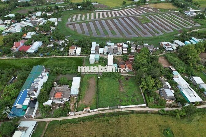 700m² sát QL50 ngang 17,5m cực thoáng, ngay cụm Chợ & Trường học - SHR