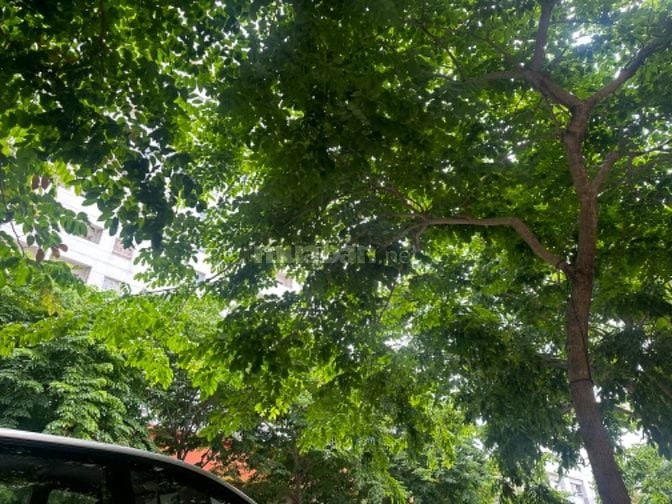 Cho thuê nhà góc 2 mặt tiền APAK giá rẻ 