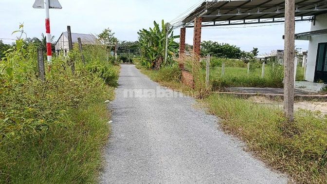 5x47 có thổ cư. đường nhựa.  Đất phường Gò Dầu. 550tr 