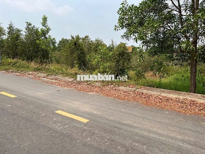 Bán 5 lô đất F0 mt đường NGUYỄN THỊ LÈN, giáp Sông Sài Gòn, Trung An.