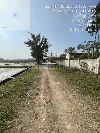 Thông báo đấu giá tài sản của ông Lê Văn Bang và bà Phạm Hồng Ngọc 