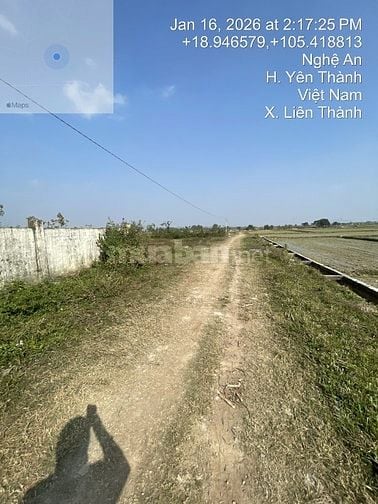Thông báo đấu giá tài sản của ông Lê Văn Bang và bà Phạm Hồng Ngọc 