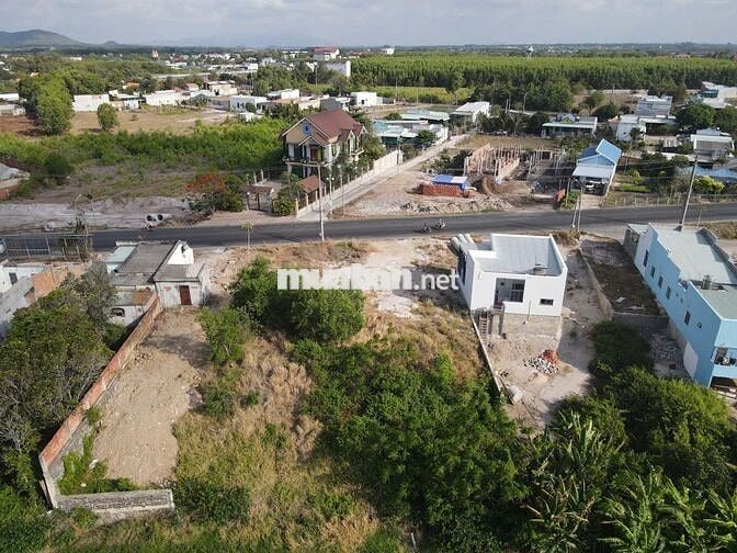 BÁN ĐẤT PHƯỚC HẢI - ĐẤT MẶT TIỀN ĐƯỜNG VEN BIỂN VIEW BIỂN 266M2