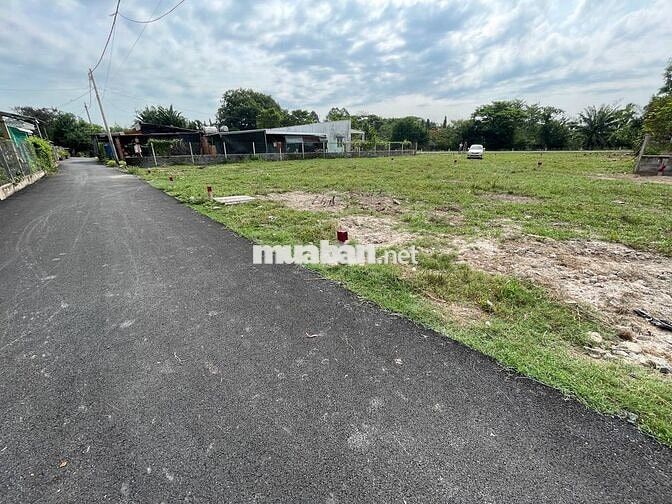 Cần tiền kinh doanh bán gấp miếng đất Củ Chi