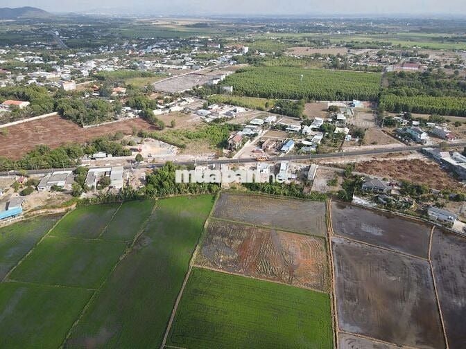 BÁN ĐẤT PHƯỚC HẢI - ĐẤT MẶT TIỀN ĐƯỜNG VEN BIỂN VIEW BIỂN 266M2