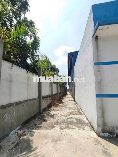 CHO THUÊ KHO ĐƯỜNG 838 HUYỆN CẦN GIUỘC , TỈNH LONG AN 