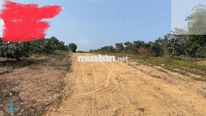 BÁN ĐẤT VIEW ĐẸP – ĐỊNH QUÁN, ĐỒNG NAI