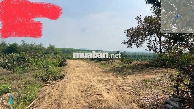 BÁN ĐẤT VIEW ĐẸP – ĐỊNH QUÁN, ĐỒNG NAI