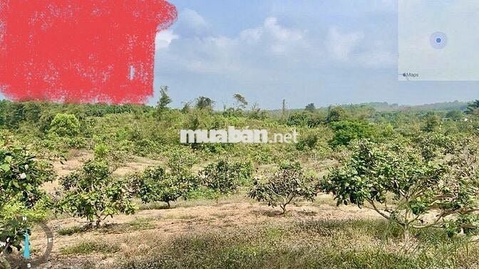 BÁN ĐẤT VIEW ĐẸP – ĐỊNH QUÁN, ĐỒNG NAI